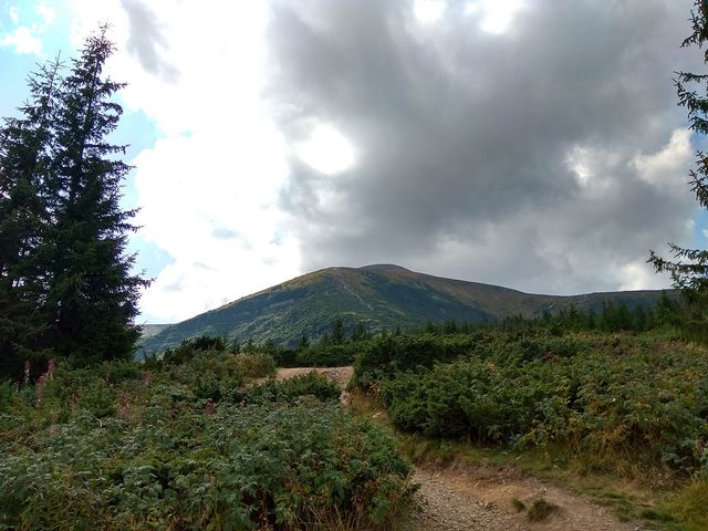 Підйом на Говерлу - фото 194754