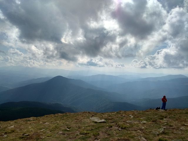 Вид з Говерли - фото 194748