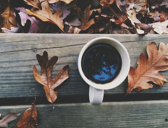 Яку погоду очікувати в Україні на вихідних