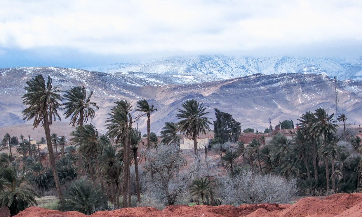 Зміна кліматичних поясів - фото 1