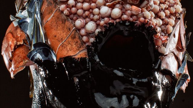 Такого ви ще не бачили! Як виглядає кулінарний грим - фото 194519