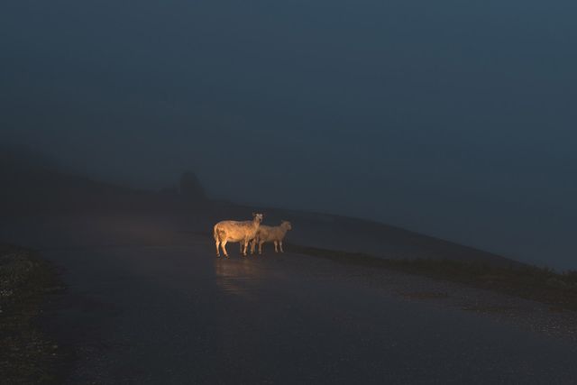 На грані реальності: вражаючі фото, від яких перехоплює дух - фото 194256