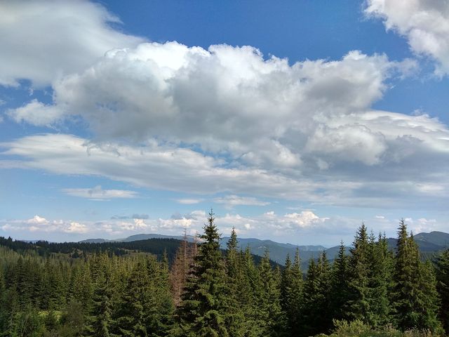 Підйом на Говерлу - фото 194752