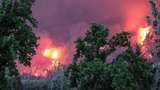 Американці грали у гольф під час моторошної пожежі в Орегоні: фотофакт