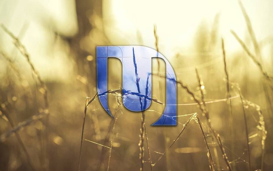 Стало відомо про припинення розробки української соцмережі Ukrainians