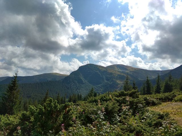 Підйом на Говерлу - фото 194753