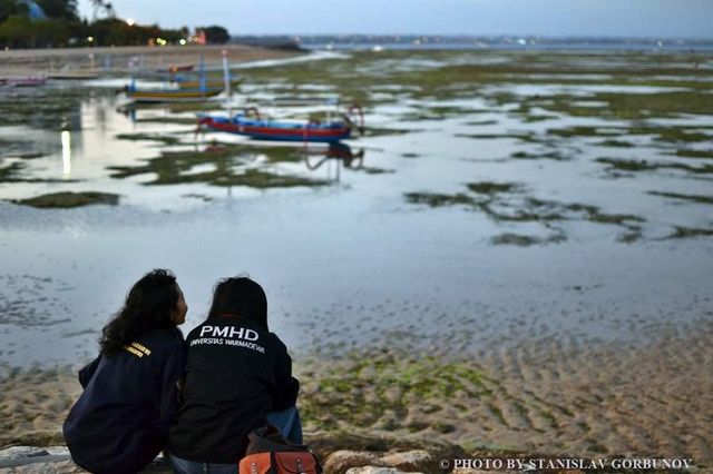 Як насправді виглядає "казковий" Балі: шокуючі фото - фото 193346
