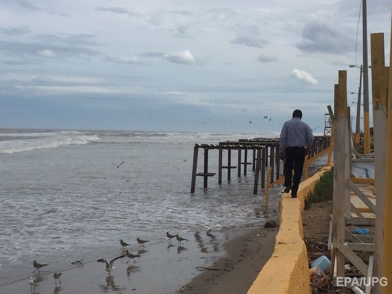Американці виявили на пляжі таємничу тварину: фотофакт