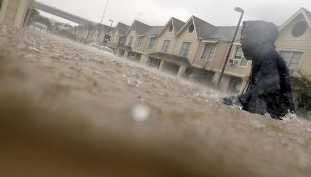 Французи підрахували збитки від урагану століття - фото 194839