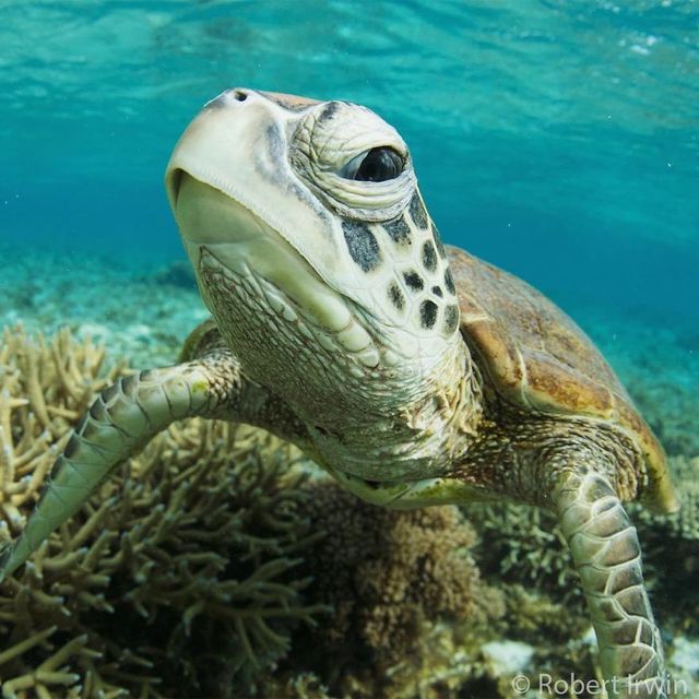 13-річний син відомого журналіста вразив своїми фото - фото 195295