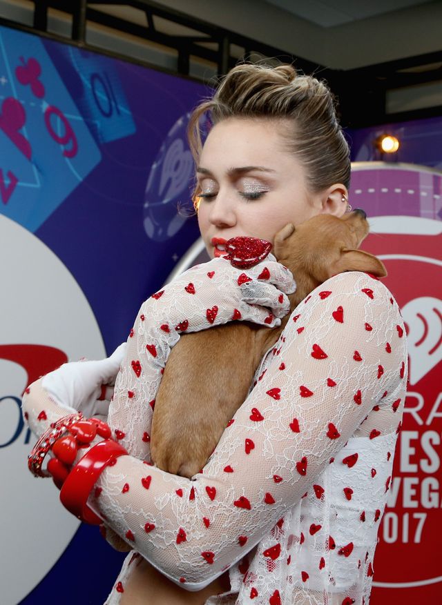 Майлі Сайрус із милим цуценям - фото 198293
