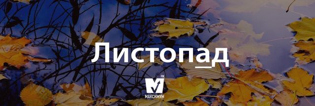 Говори красиво: правильні наголоси в українських словах, які вас здивують - фото 197143