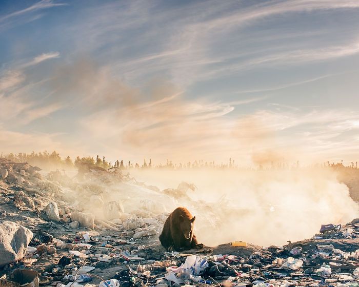 Це неймовірно - фото 1