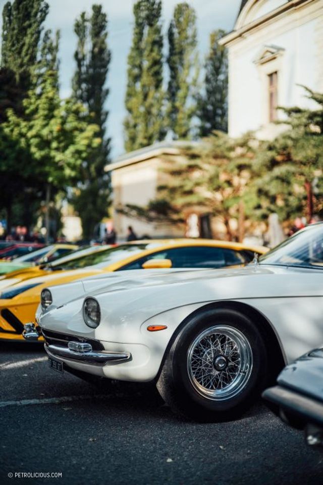 Найяскравіші суперкари Lamborghini зібрали на конкурсі краси - фото 197918