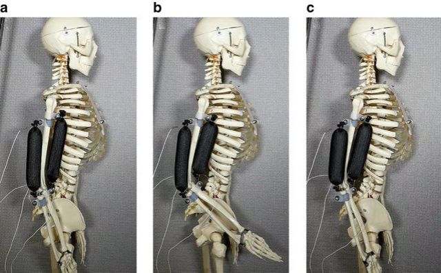У роботів з'являться м'язи кращі, ніж у людей - фото 197063
