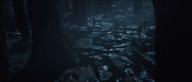 та екзотичний ліс на планеті 