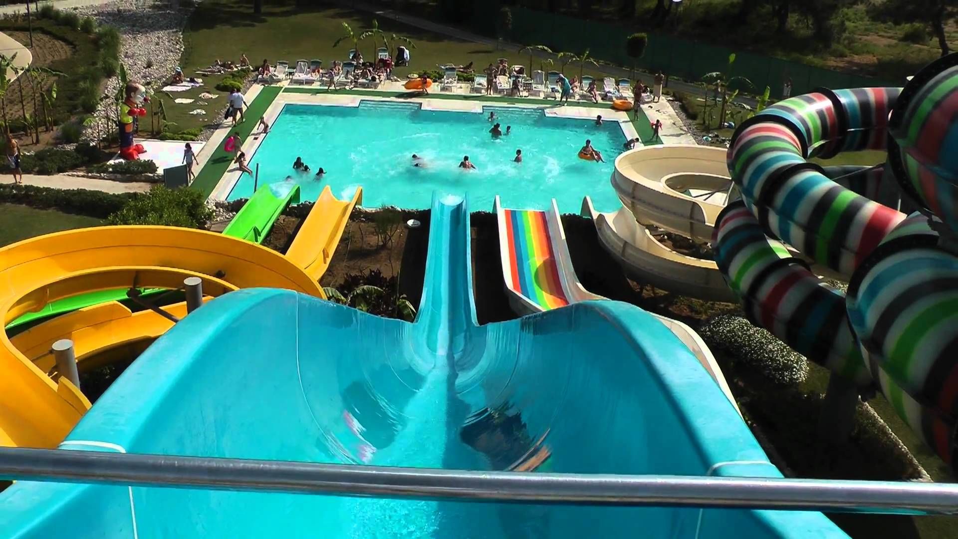 Собачка, яка любить водні гірки, стала новою зіркою мережі