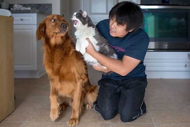 Коли кіт і пес живуть в одному домі: кумедні фото - фото 195572