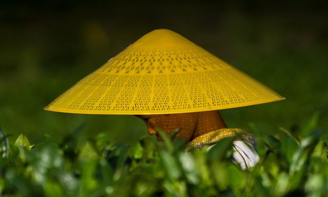 Як виглядають звичайні будні в Китаї: ефектні фото - фото 193112