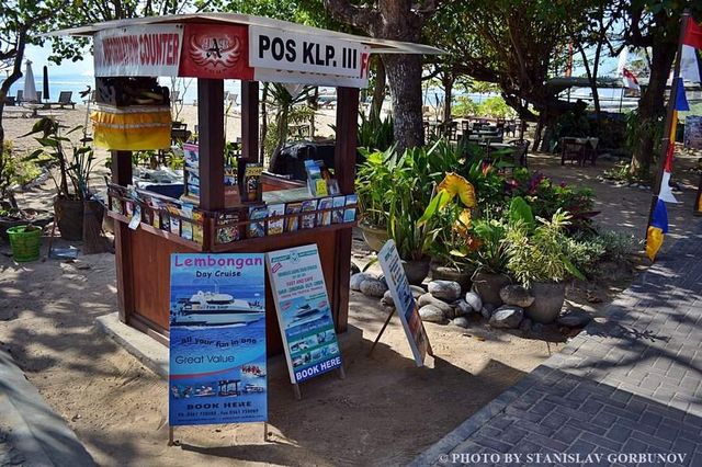 Як насправді виглядає "казковий" Балі: шокуючі фото - фото 193354