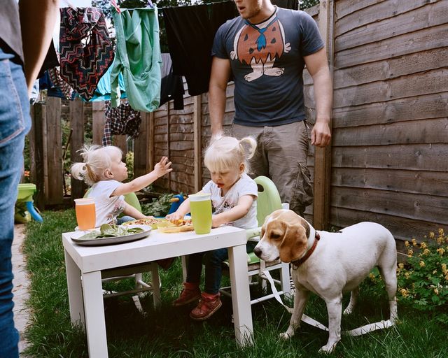 Як британські сім'ї проводять трапезу: незвичайні фото - фото 197171