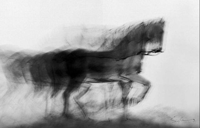 Індійський фотограф показав "душу" свого народу - фото 197719