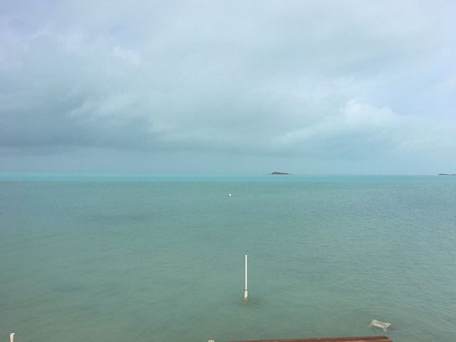 до - фото 195152