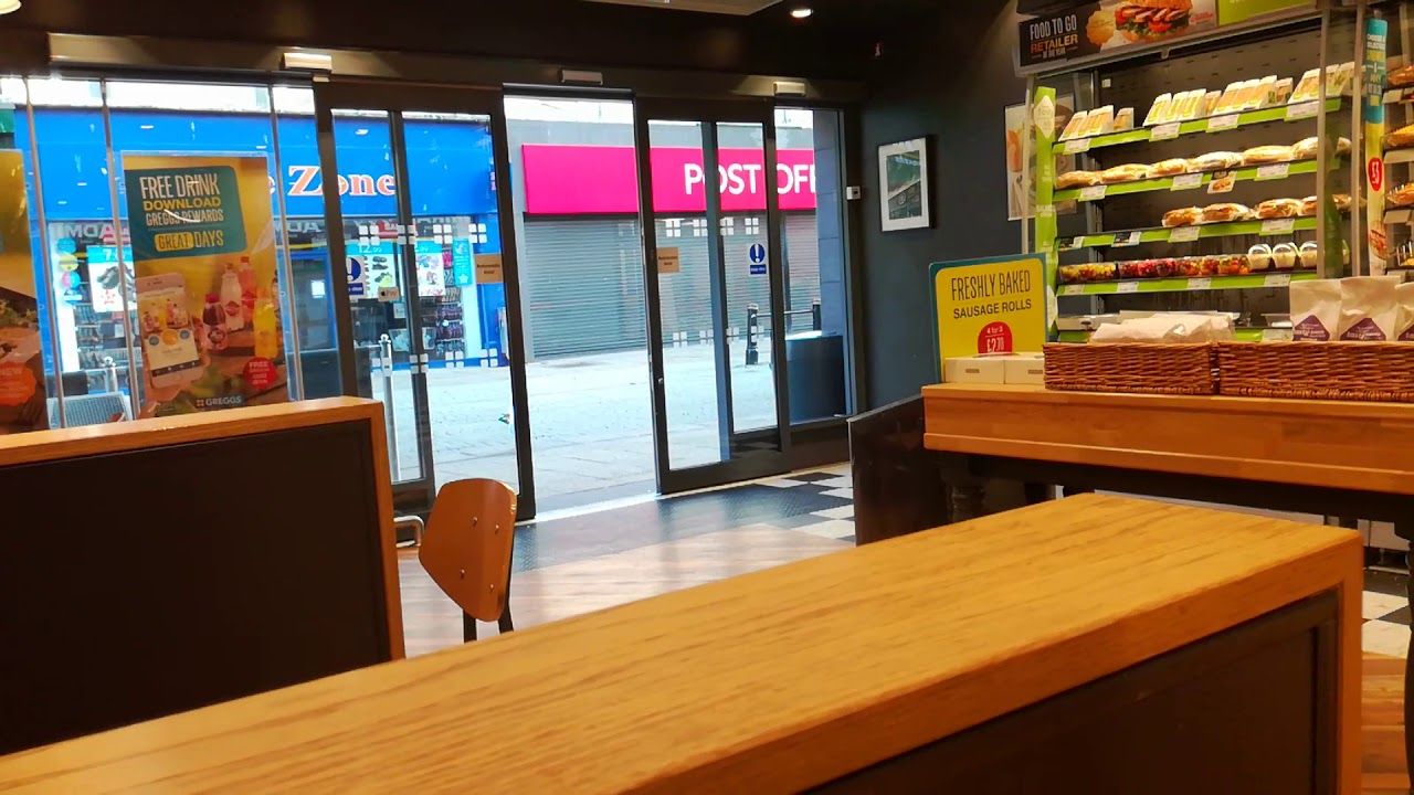 Спокійна чайка обікрала магазин у Великобританії: епічне відео