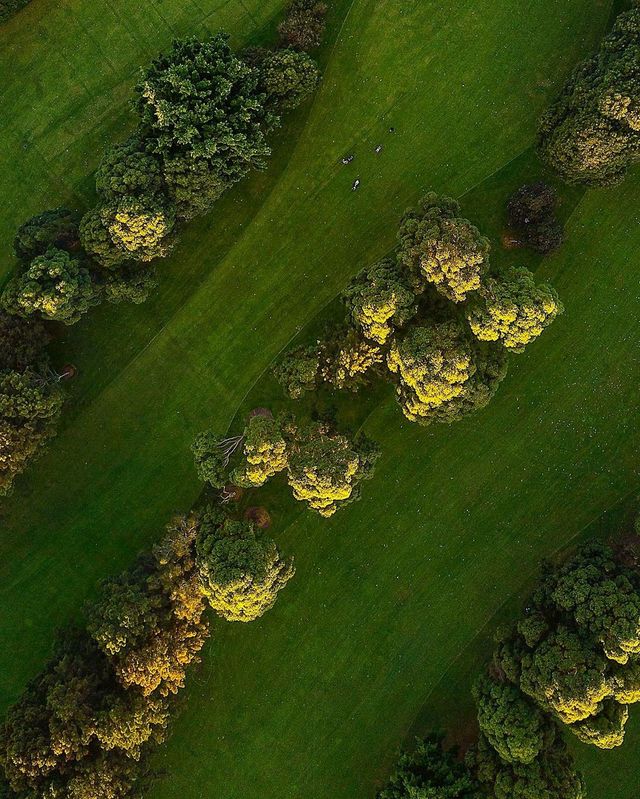 Австралійські пляжі з висоти пташиного польоту: ефектні фото - фото 195519