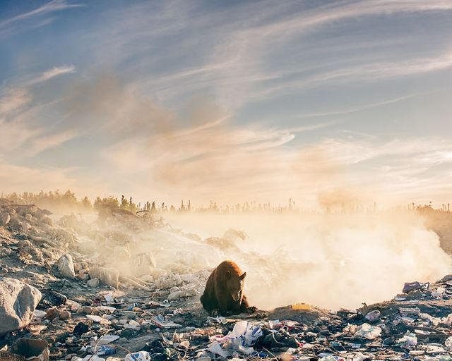 Troy Moth - фото 198883