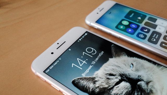 Новенький iPhone 8 Plus вибухнув під час заряджання - фото 199073