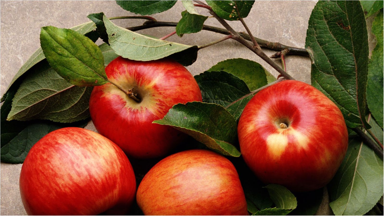 На загальний стан здоров'я вживання яблук не впливає - фото 1