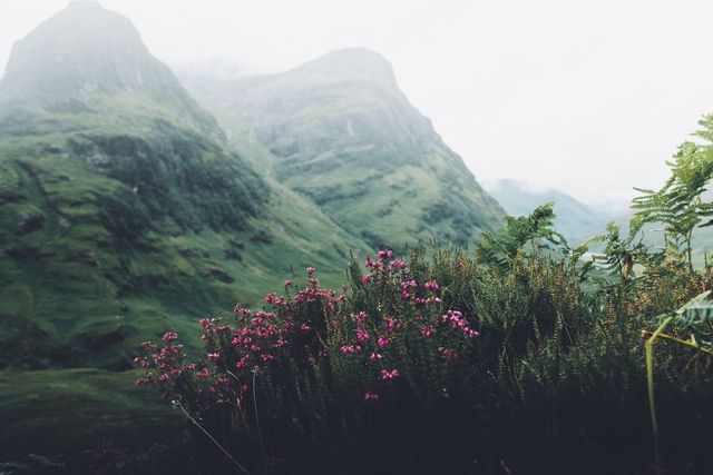 Несподівано! Названо найкрасивішу в світі країну - фото 193566