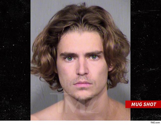 Сина Жан-Клода Ван Дамма арештували: відомі подробиці - фото 195686