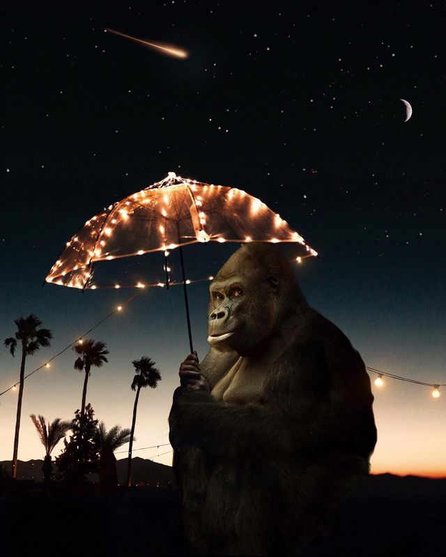 На межі реальності: казкові фото світу - фото 199077