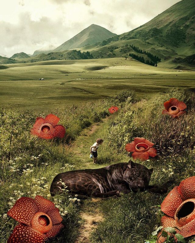 На межі реальності: казкові фото світу - фото 199089