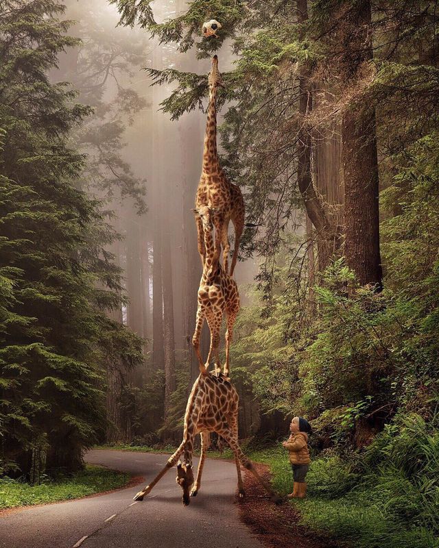 На межі реальності: казкові фото світу - фото 199090