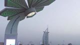 У Дубаї створили смарт-пальму, яка заряджає смартфони