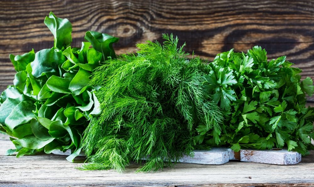 Зелень надзвичайно корисна для здоров'я - фото 1