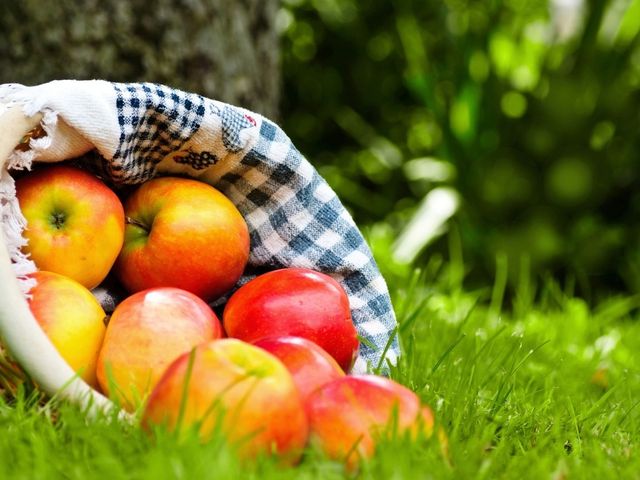 Стало відомо про нові корисні властивості соди - фото 205495