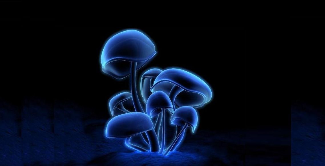 Галюциногенні гриби можуть допомогти при депресії