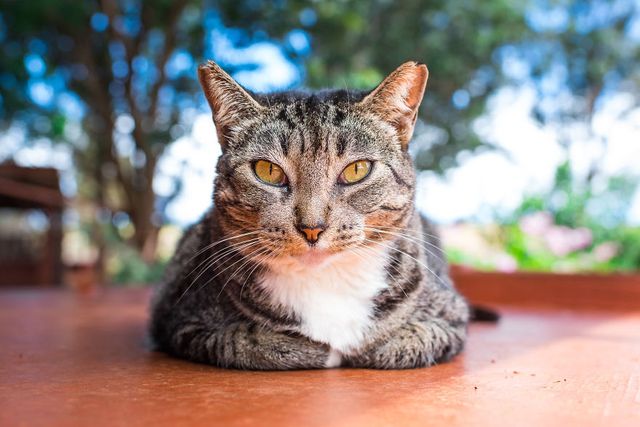 Американець показав, як виглядає рай на Землі: чарівні фото - фото 204749