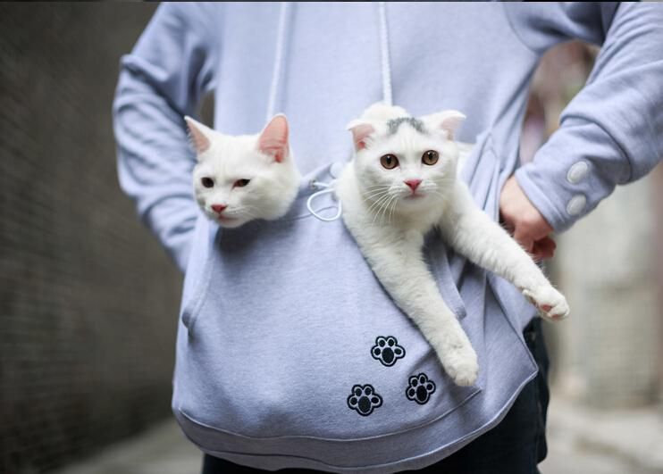 В Україні планують ввести податки на собак та котів: перші деталі