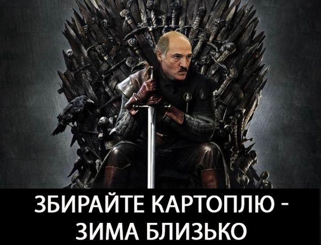 Чіпсокаліпсис! Мешканці Нової Зеландії панікують через чіпси - фото 203159