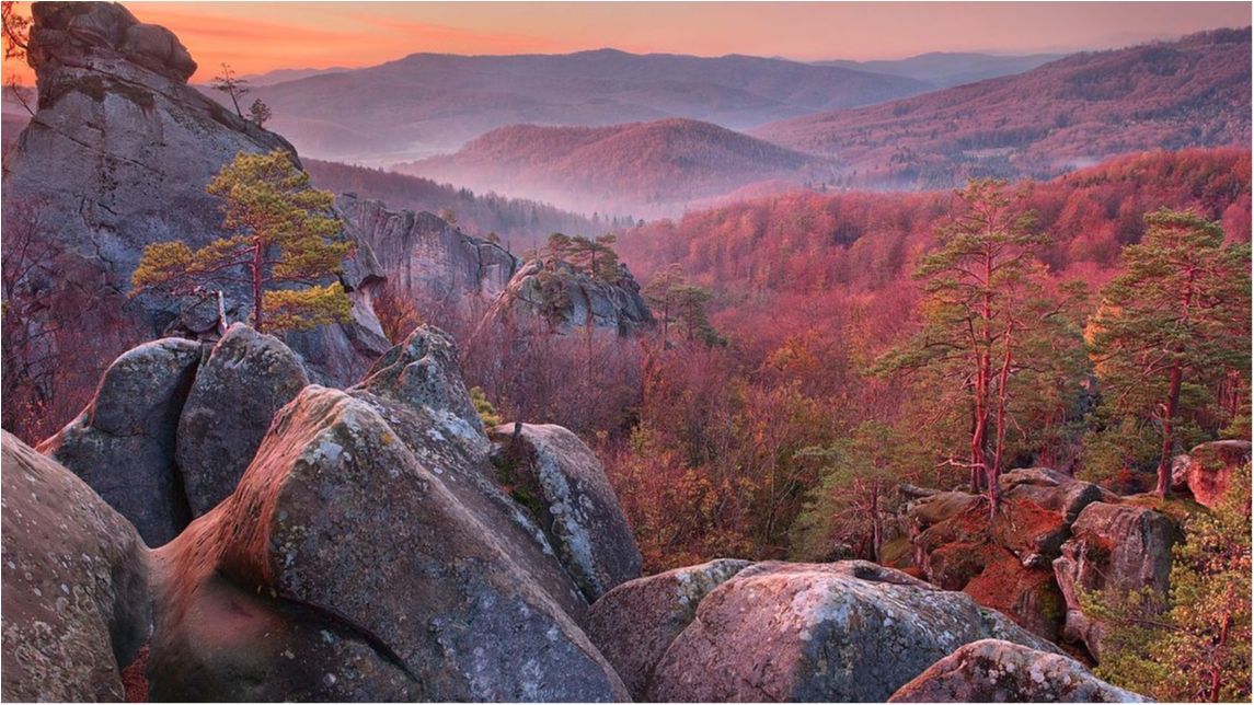 Вікі любить Землю 2017: неймовірні фото, зроблені в Україні