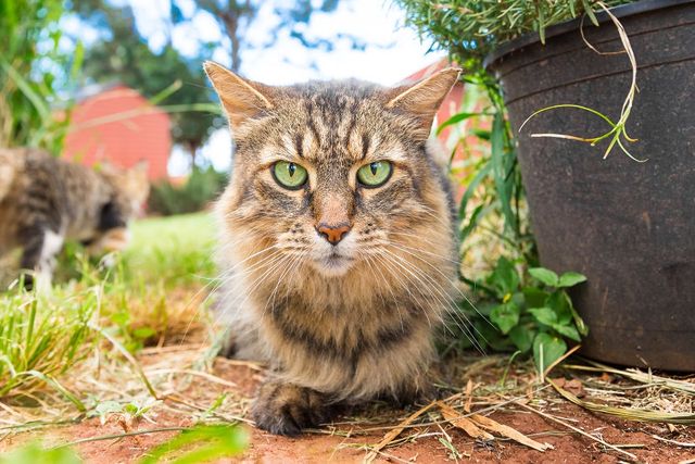 Американець показав, як виглядає рай на Землі: чарівні фото - фото 204754