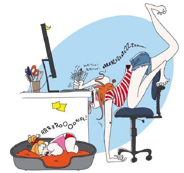 Дуже чесно - фото 1