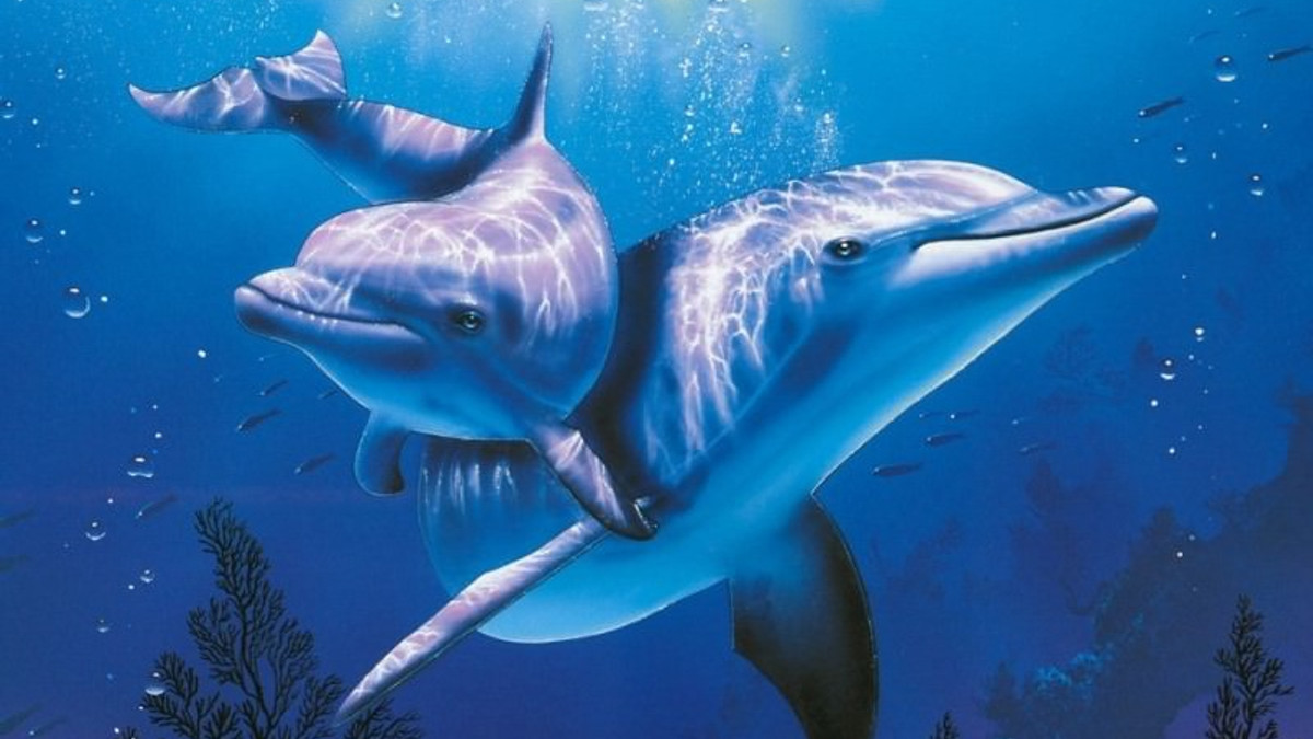 Самки дельфінів можуть захищатися від вагітності - фото 1