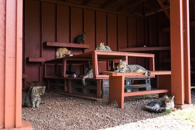 Американець показав, як виглядає рай на Землі: чарівні фото - фото 204745