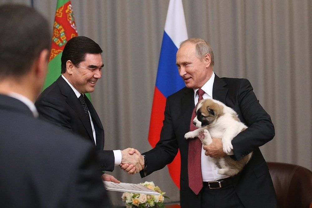 Цуценя, подароване Путіну на день народження, втекло від нього після поцілунку
